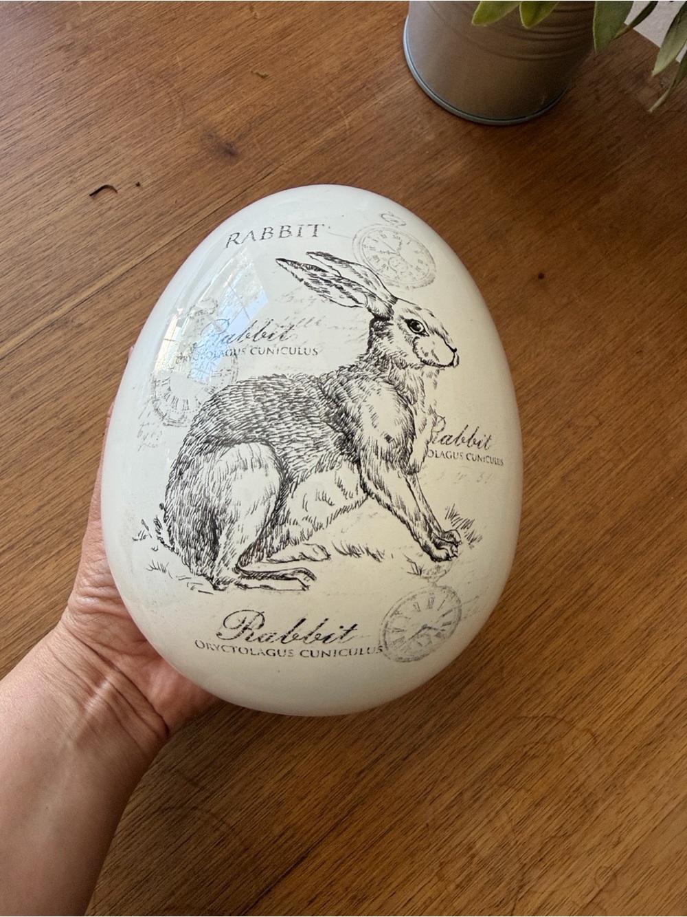 White Rabbit Decorative Accent ceramic egg - Picture 12 of 16